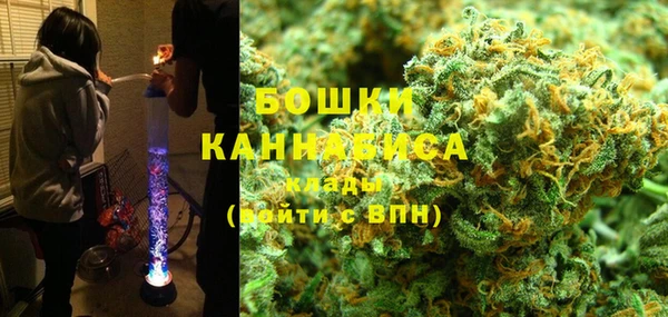 гидра Арсеньев