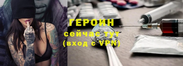 гидра Арсеньев