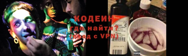 гидра Арсеньев