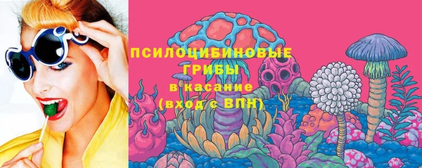 амф Аркадак