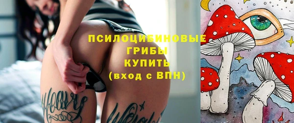 spice Армянск