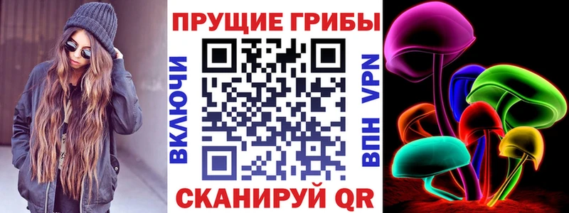 где можно купить наркотик  Похвистнево  Псилоцибиновые грибы Psilocybine cubensis 